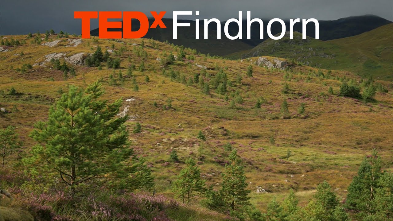 Restoring the ancient Caledonian Forest Alan Watson Featherstone TEDxFindhorn
