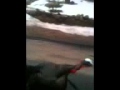 Crazy wild turkey chases car in suburbs! Funny Crazy wild turkey chases car in suburbs! Funny