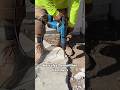 Hercules Demolition Hammers | Harbor Freight