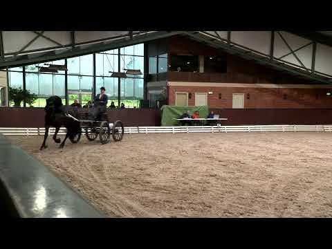 Ibop te Wergea | 21 oktober 2021