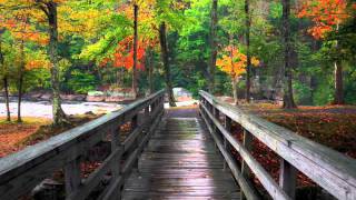 Milieu - [Untitled CD Bonus Track]