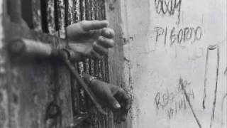 Meu Bom Juiz - Bezerra da Silva