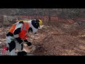 CFA Cow Commercial