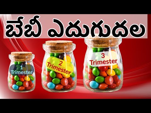 3 ట్రైమెస్టర్స్ బేబీ ఎదుగుదల - గుండె, కీలక భాగాల నిర్మాణం ఎపుడు? - normal delivery - fetal development