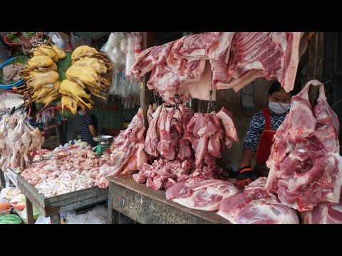 Morning Market Scenes at Phsa Prek Phnov - Walking Around Street Food @Prek Phnov Market in Morning