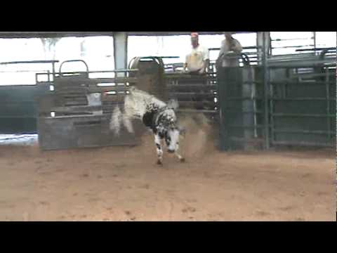 P 923 Undercover Boss