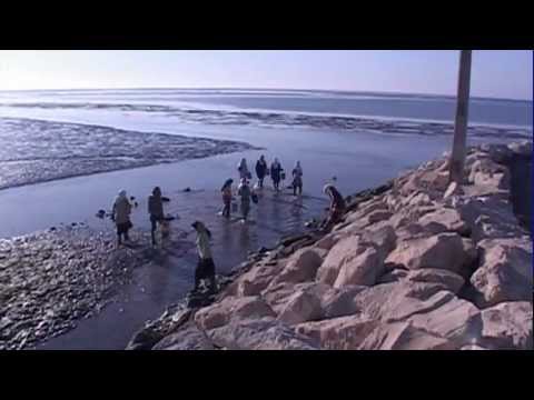 La prévention sauve des vies, protège les moyens d'existence, permet de réaliser des économies