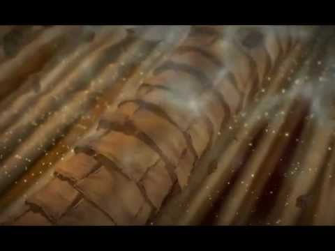 Keratinology colour Therapy Shampoo