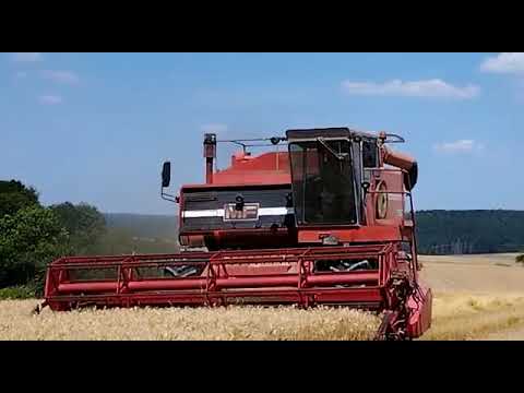 Massey Ferguson 760 Mähdrescher im Einsatz,Weizen 2022