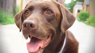 Wine Lips - Out of Control (Official Music Video)