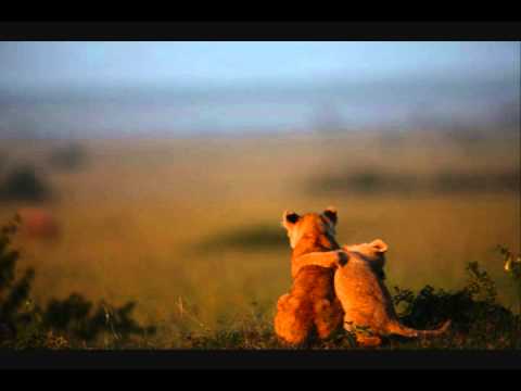 Mr. Funk Daddy feat. Tiyiselani - Live My Life