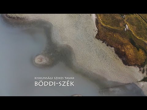(Kiskunsági szikes tavak) BÖDDI - szék