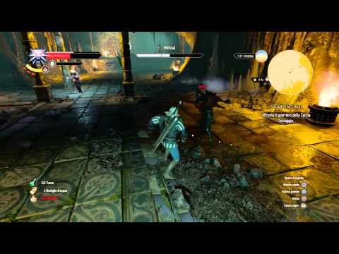 The Witcher 3: Wild Hunt - Wild Hunt Warrior fight (Death March)