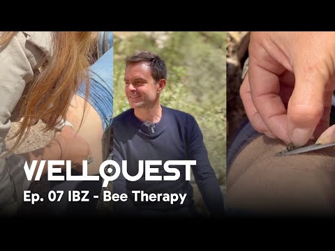 The Sting That Heals: Discovering Bee Therapy in Ibiza | WellQuest