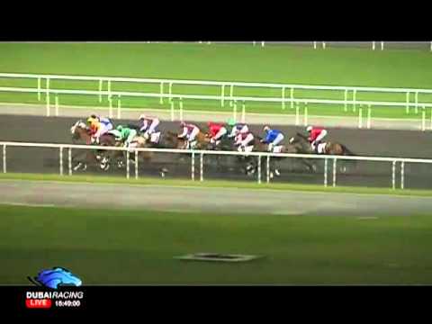 31.12.2011 Meydan (Dubai UAE) 5.Race Al Basti Equiworld - Hartog Cup - Handicap 1.400 m