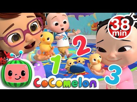Numbers Song with Little Chicks + More Nursery Rhymes & Kids Songs @CoComelon @DaveAndAva #usa