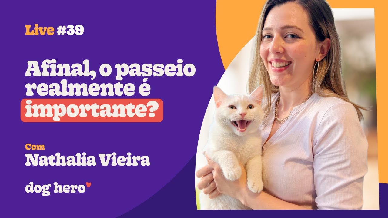 Afinal, o passeio realmente é importante? | Live 39