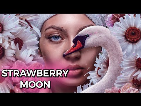 Full Moon Meditation June 2022! Strawberry Moon!