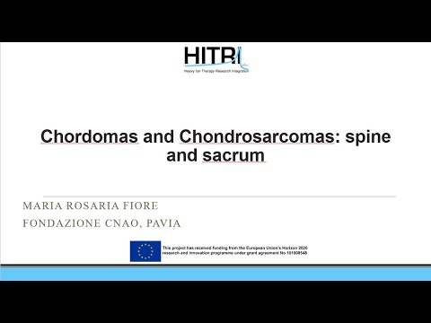 3rd HITRIplus School: Chrordoma and Chondrosarcoa   Sacrum and Spine   Maria Rosaria Fiore   CNAO