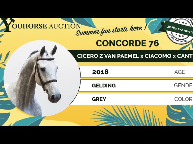 Concorde showvideo