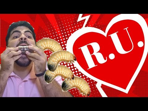 Tudo sobre o Restaurante Universitário | QG Universitário