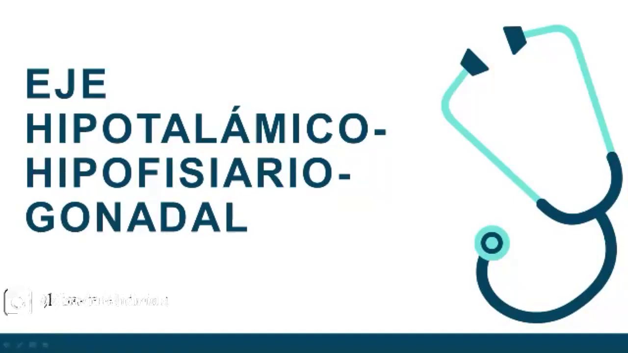 EMBRIOLOGÍA: EJE HIPOTALÁMICO-HIPOFISIARIO-GONADAL | Leo de medicina