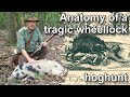 Anatomy of a tragic wheellock wildboar hunt