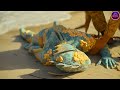 The War Between The Land And The Sea Episode 5 How Humanity Defeated Homo Aqua