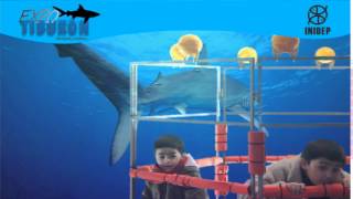 DIA 2 Expo Tiburon94