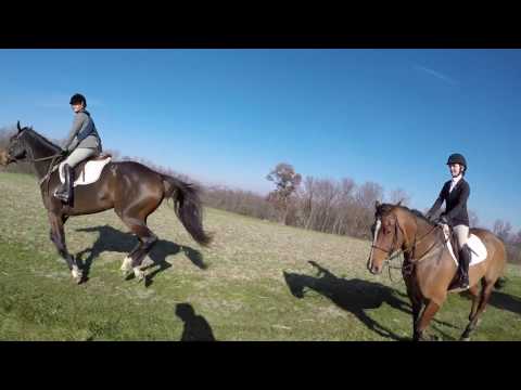 Foxhunting in Northern Illinois Fox River Valley & Massbach Hounds 1080p