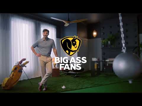Big Ass Fans Give a Damn