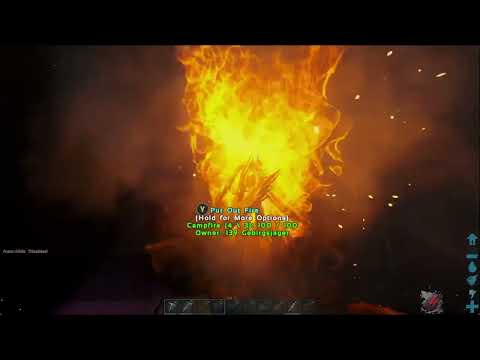 Return to Ark: pt  12