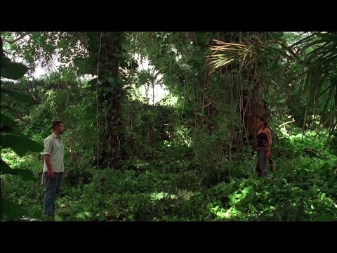 Lost Final Shots Montage