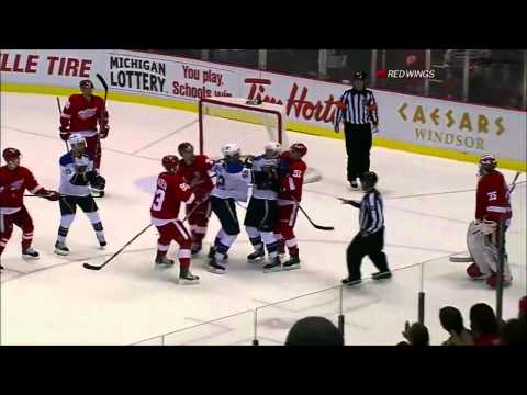 Tribute to Detroit Red Wings 2010-11 Regular Season