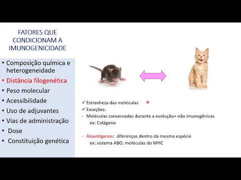 Antígenos e Imunização ativa e passiva