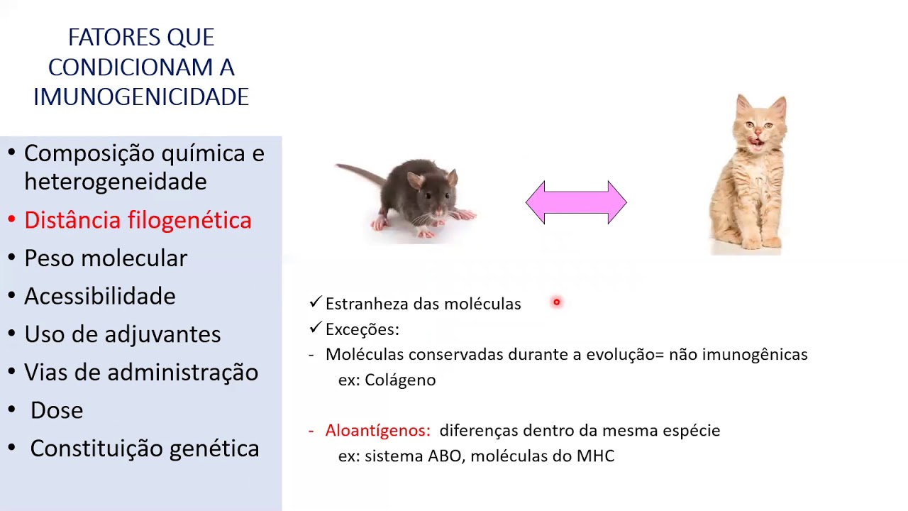Antígenos e Imunização ativa e passiva