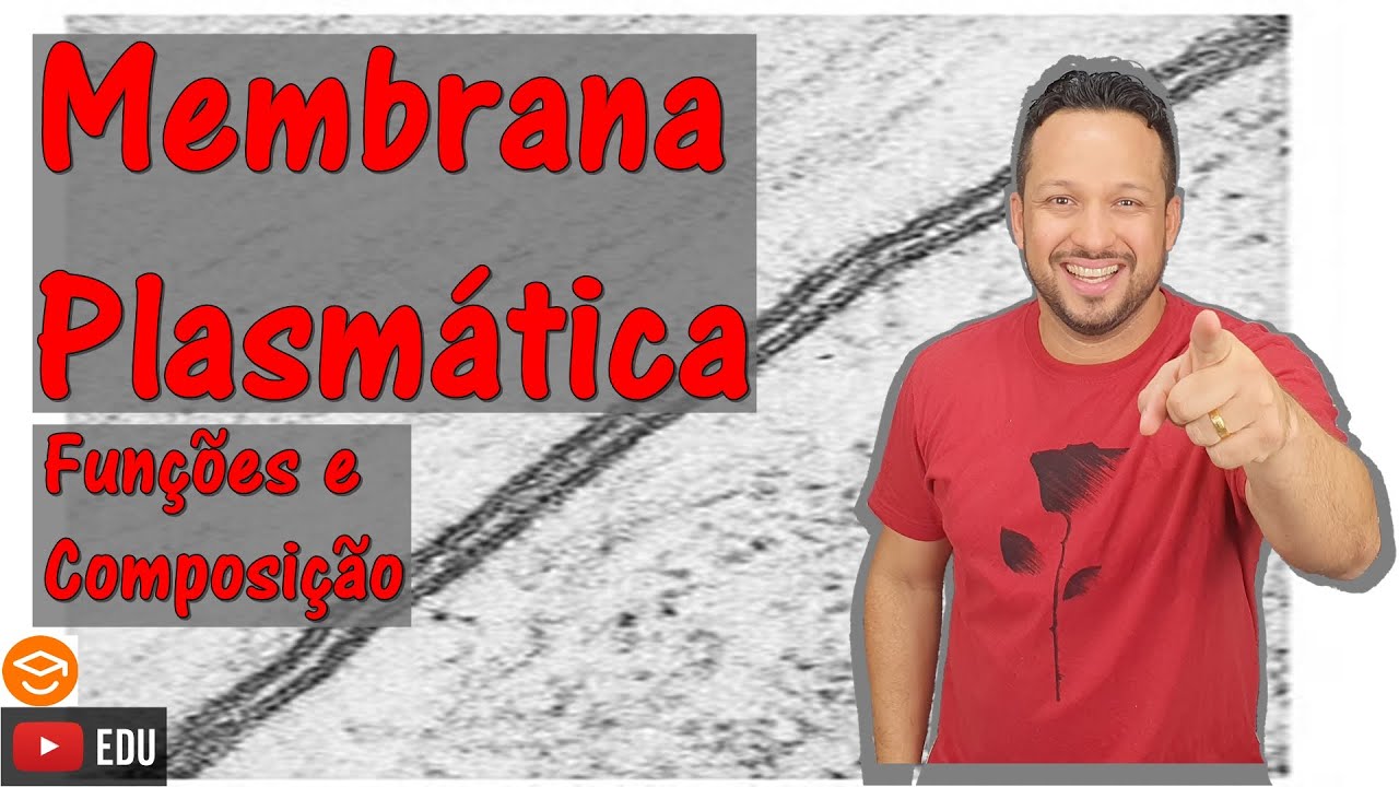 Membrana Plasmática - Composição e Funções da Membrana - Composição do Mosaico Fluido - Citologia