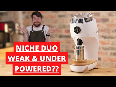 Niche Duo Review & Zero Comparison.