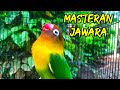 MASTERAN LABET NGETIK NGEKEK PANJANG FULL DURASI