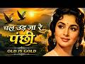 चल उड़ जा रे पंछी Evergreen Classic Hindi Song Golden Era Melodies Old Is 