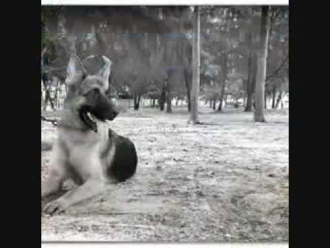 Gathering Sunday (12.06.2016) @Ocarina