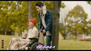 新不了情....萬芳主唱