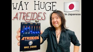Way Huge WHE900 Atreides Analog Weirding Module - What To Know