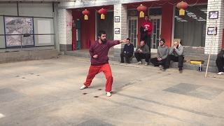 Download lagu Kung Fu Form - Tong Bei Quan mp3