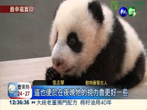 貓熊眼像貓眼! 黑麻麻也看得見