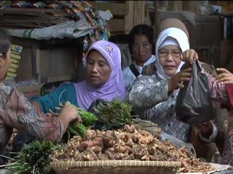 Ginseng untuk harga potensi Potensi 62
