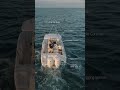 The Canyon 271 delivers lots of big boat features