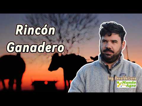 🔺🐂RINCON GANADERO * Jornada de la mesa ganadera CREA Córdoba Norte►Osvaldo Luna, Asesor Ganadero