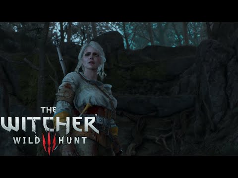 The Witcher 3: Wild Hunt #14 - Der Baron und Ciri | Let's Play [Deutsch]