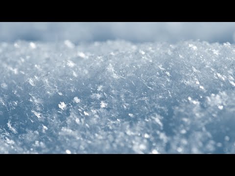 悲しみは雪のように / 浜田省吾 (カバー) [高品質] フル 歌詞付き
